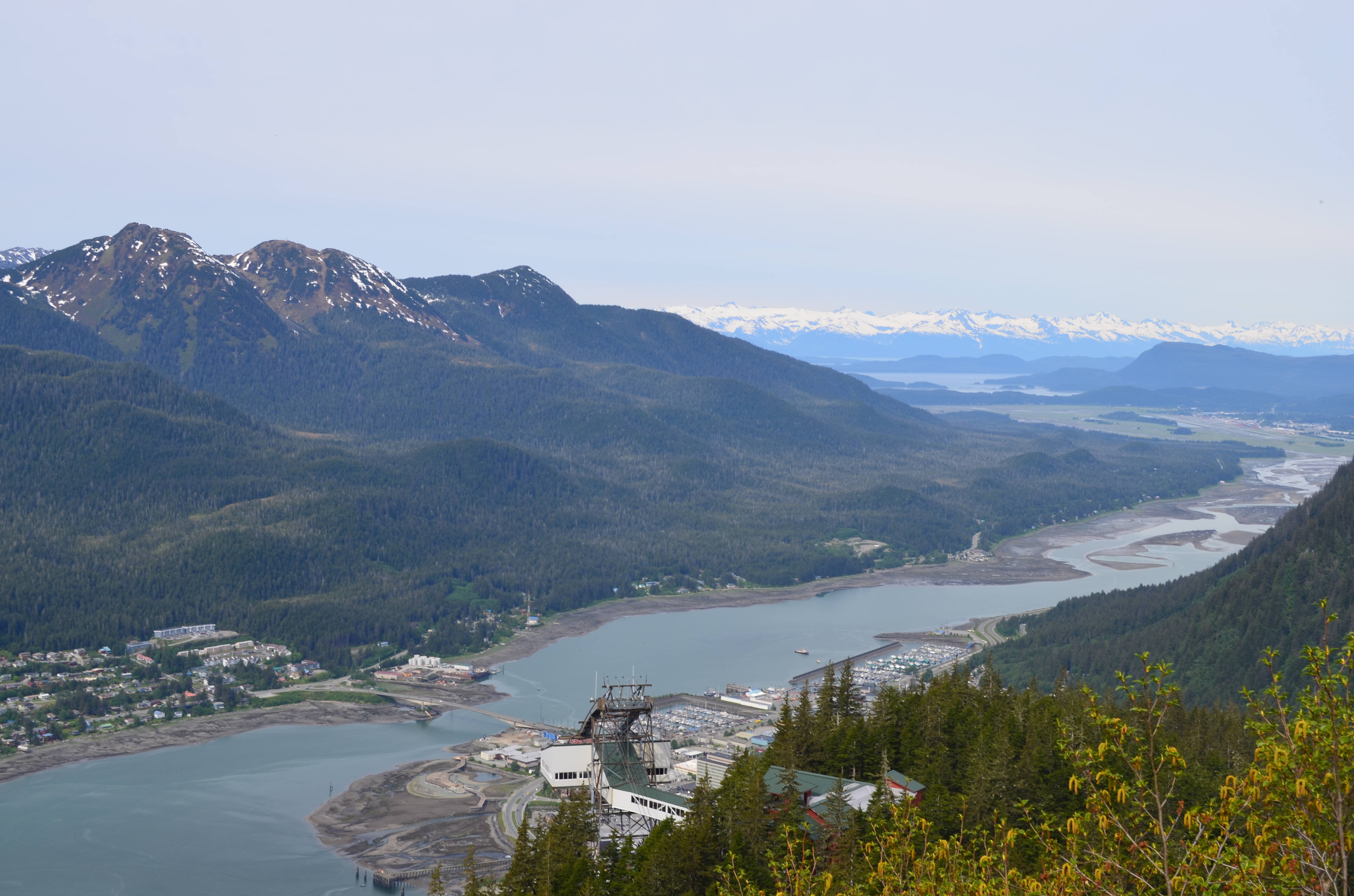 ./2017/08 - Alaska Cruise/08 - Juneau/DSC_0929.JPG